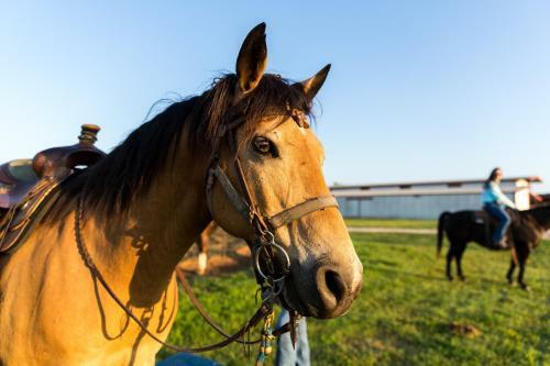 Hotel Wildcatter Ranch And Resort