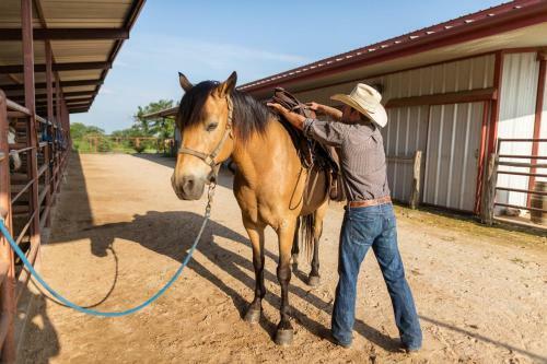 Hotel Wildcatter Ranch And Resort