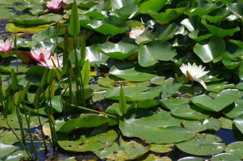 Hostal Maison D'h�tes Le Cadran Solaire