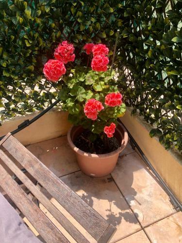 Apartamento Mon Appart Avec Terrasse Et Piscine