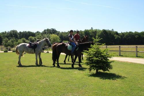 Bed & Breakfast Chambre D'hotes Les Macheti�res