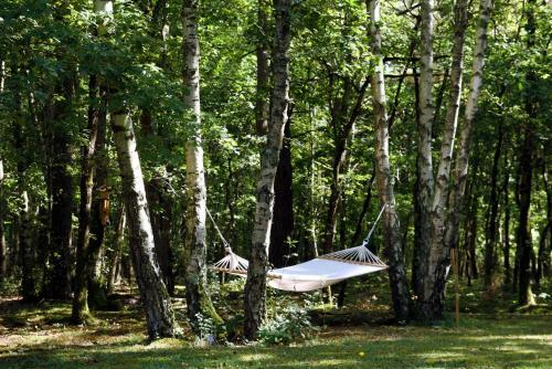 Bed & Breakfast Chambres D'h�tes Et Table D'h�tes L'intemporelle