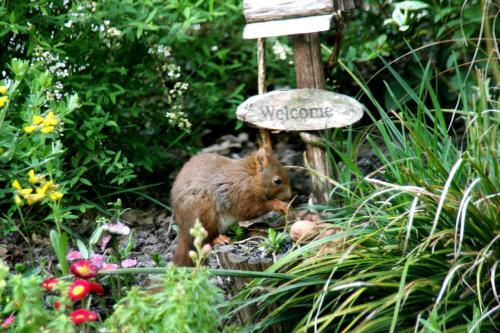 Bed & Breakfast Chambres D'h�tes Et Table D'h�tes L'intemporelle