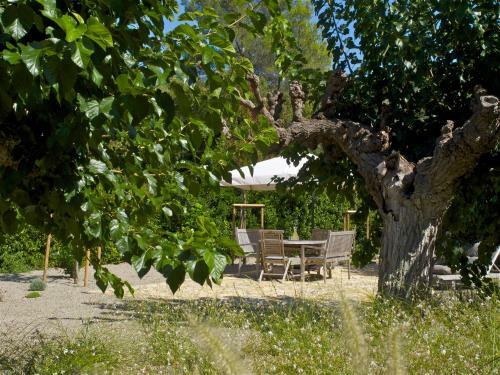 Bed & Breakfast Domaine De L'arnaude