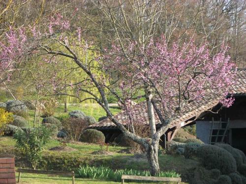 Bed & Breakfast Chambres D'h�tes de Charme Du Ch�teau de Missandre