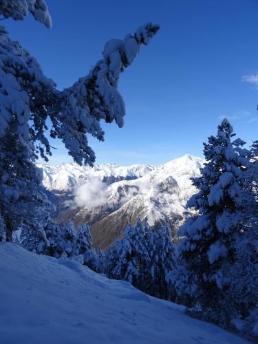 Hotel H�tel La Montagne Fleurie