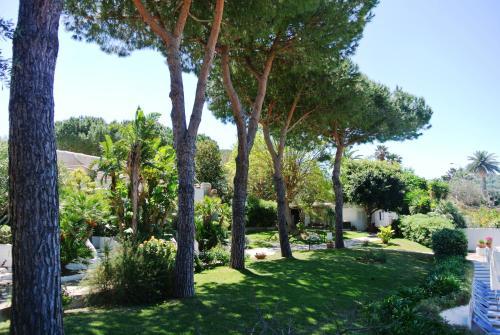 Hotel Paradiso Terme