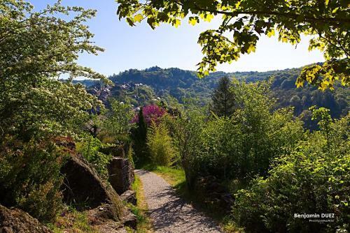 Bed & Breakfast Chambre D'hotes De La Bastide De Najac