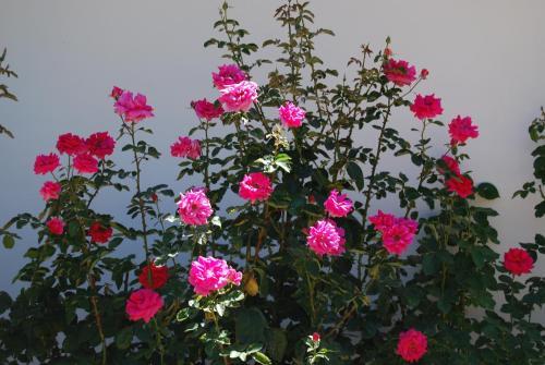 Hostal Les Terrasses De Castelmerle