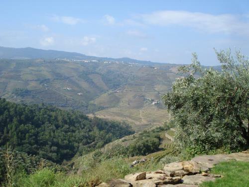 Agroturismo Country House Quinta Da Salgueira