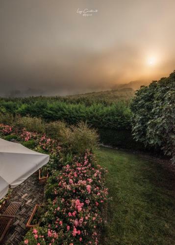 Agroturismo Villa Bricco Dei Cogni