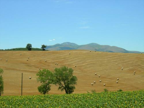Agroturismo Residence I Girasoli
