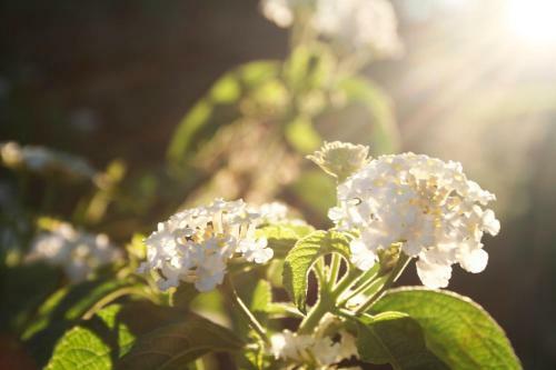 Bed And Breakfast Pozzillo San Rocco