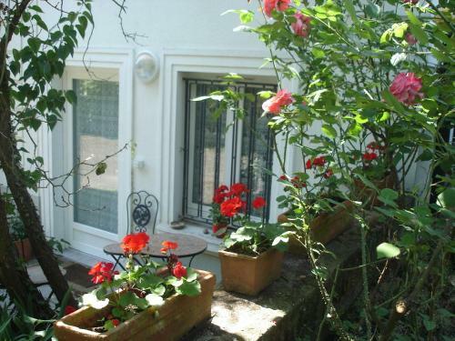 Apartamento Studio Des Musiciens - Quartier Orangerie