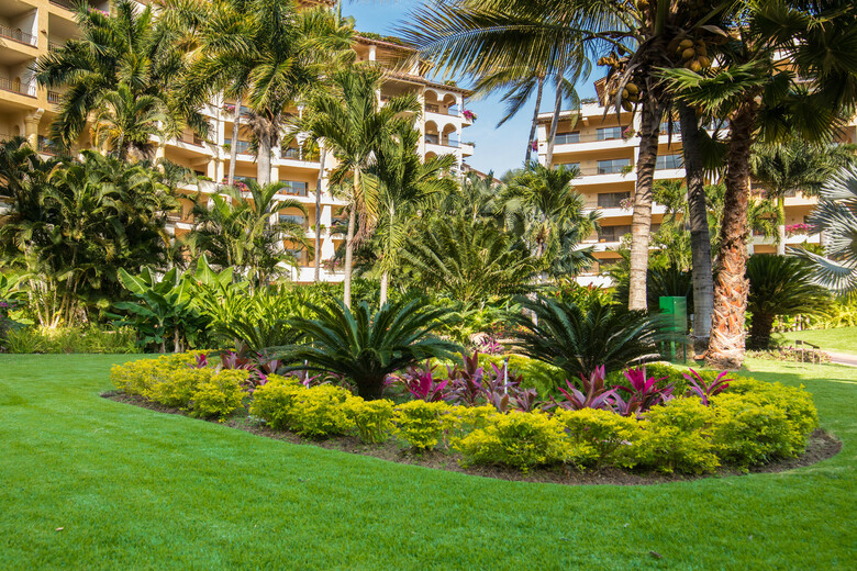 Hotel Velas Vallarta Suite Resort