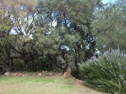 Agroturismo L'ulivo