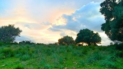 Agroturismo L'ulivo