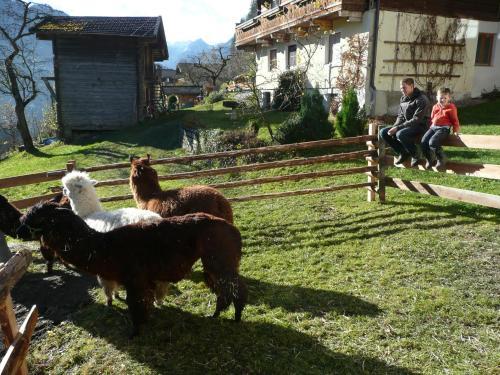 Agroturismo Maurachhof