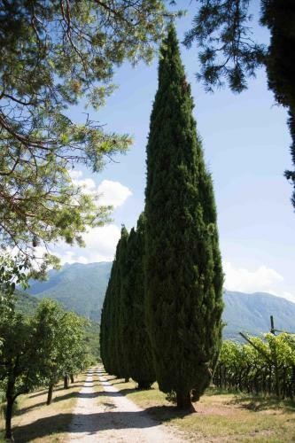 Agroturismo Agritur Casteller