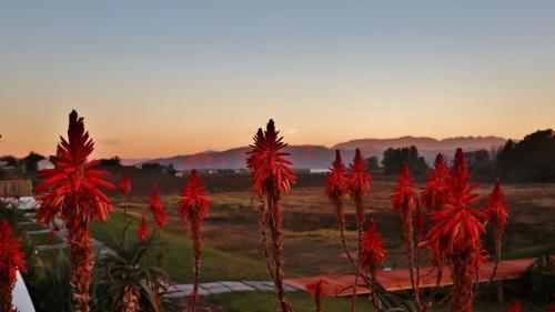 Hostal Rosendal Winery And Wellness Retreat
