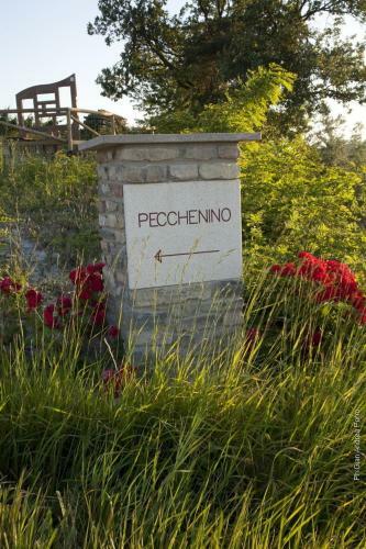 Bed & Breakfast Casapecchenino