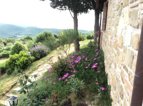 Apartamento Agriturismo La Bicocca - Apt L'olivo