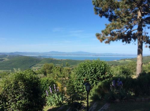 Apartamento Agriturismo La Bicocca - Apt L'olivo
