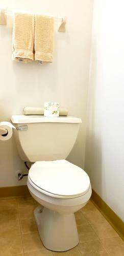Hotel Zinck's Inn Berlin