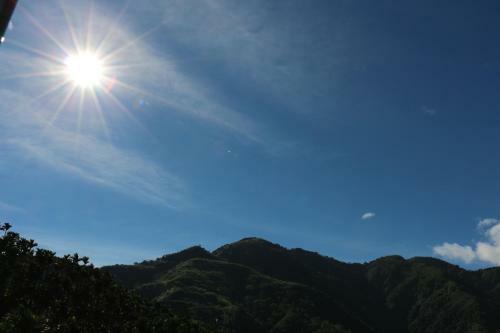 De Ren Tea Gardens