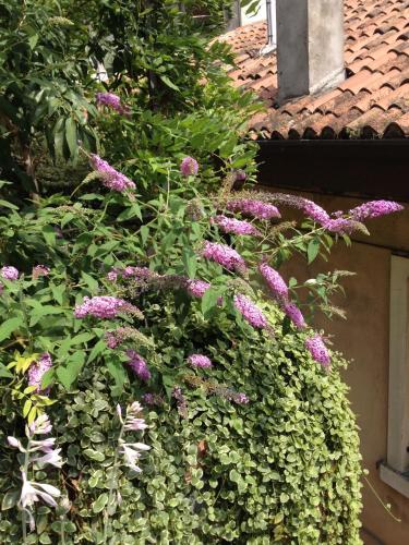 Bed & Breakfast Residenza San Faustino