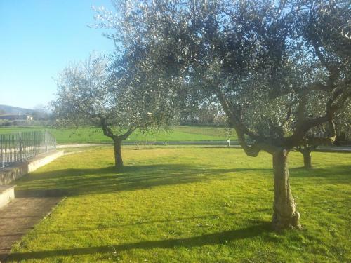 Hostal Assisana Affittacamere