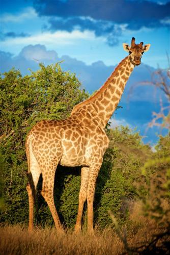 Samara Private Game Reserve Karoo Lodge