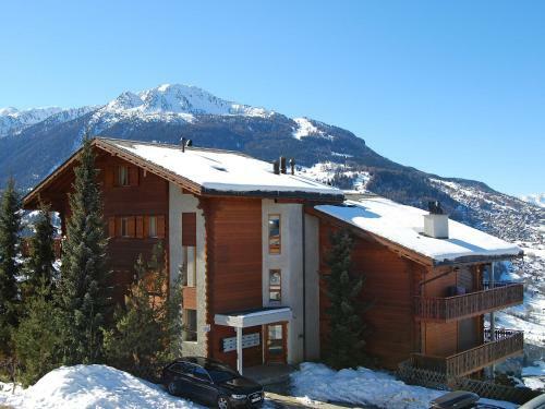 Apartamento Les Cretes II