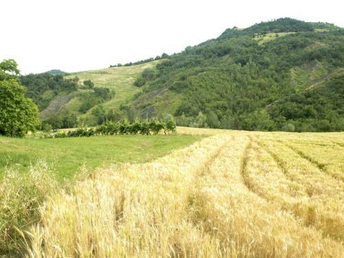 Agroturismo Casa Flu� Relais
