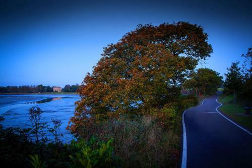 Hotel Carrigaline Court