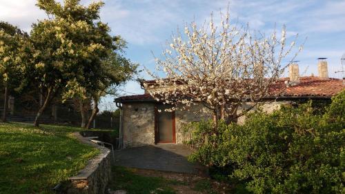Agroturismo Casa Dos Muros
