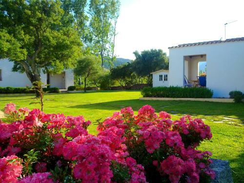 Agroturismo Agriturismo Li Scopi