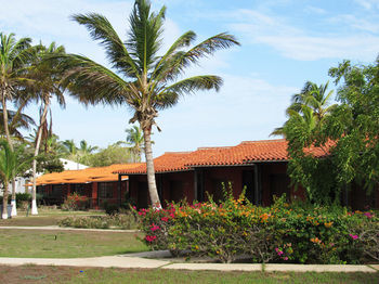 Hotel Coche Paradise