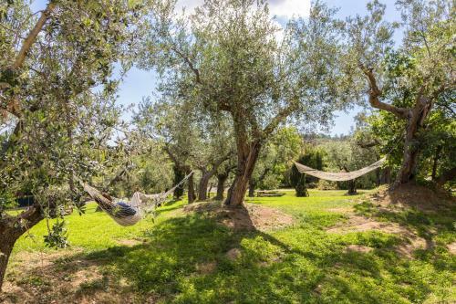 Agroturismo Agriturismo Le Bosche