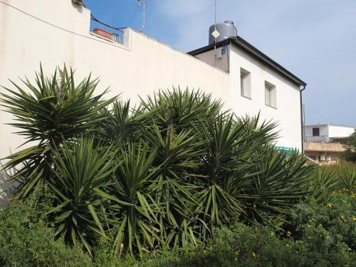 Casa Vacanze Mandorlo In Fiore