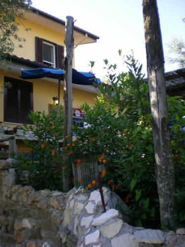 Bed & Breakfast Buenavistasurfmed