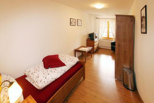 Hostal Penzion U Chodskeho Hradu