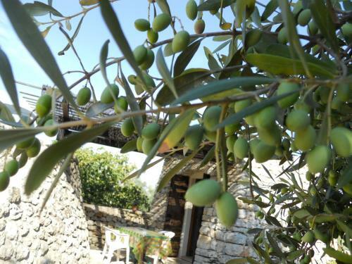 Agroturismo Agriturismo Specchiarussa