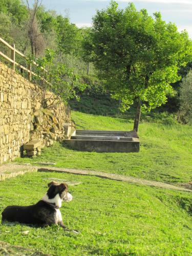 Agroturismo Agriturismo La Fontaccia