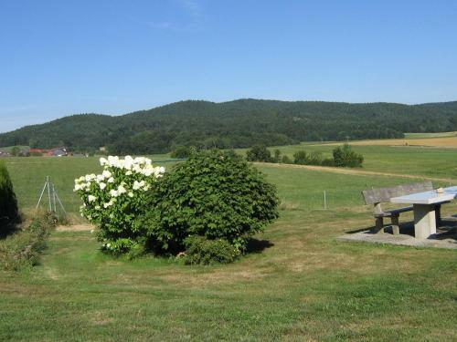 Apartamentos Ferienhaus Zur Weinlaube