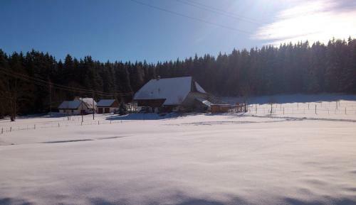 Apartamento Ferienwohnung Schwarzwaldhof