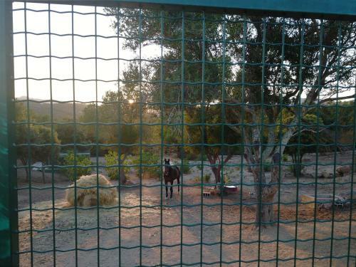 Apartamento Villa Smeralda