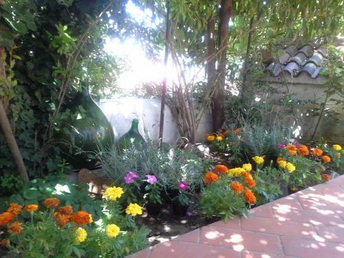 Agroturismo Corte San Lussorio