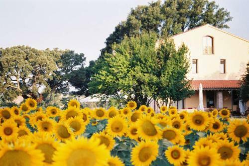 Bed & Breakfast Podere Le Querce