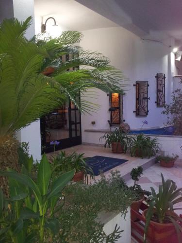 Hotel Call� 2